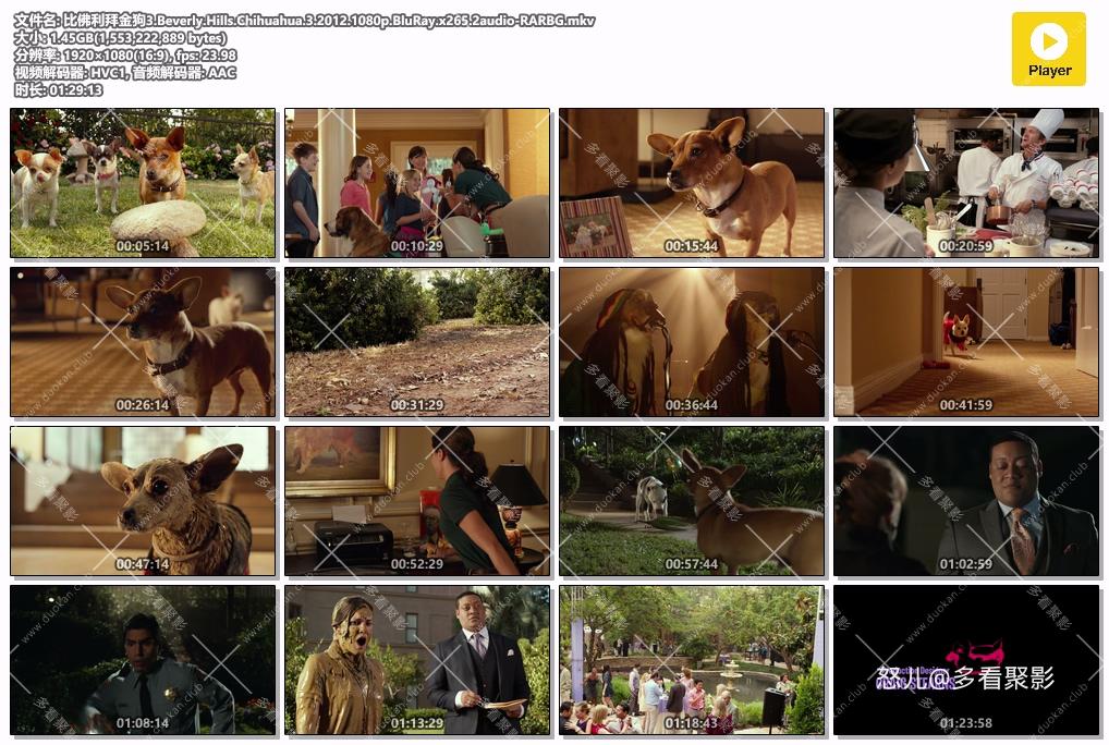 比佛利拜金狗3.Beverly.Hills.Chihuahua.3.2012.1080p.BluRay.x265.2audio-RARBG.mkv.jpg