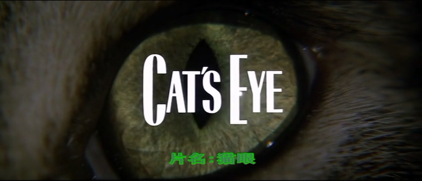 Cats Eye.mp4_000035.735.jpg