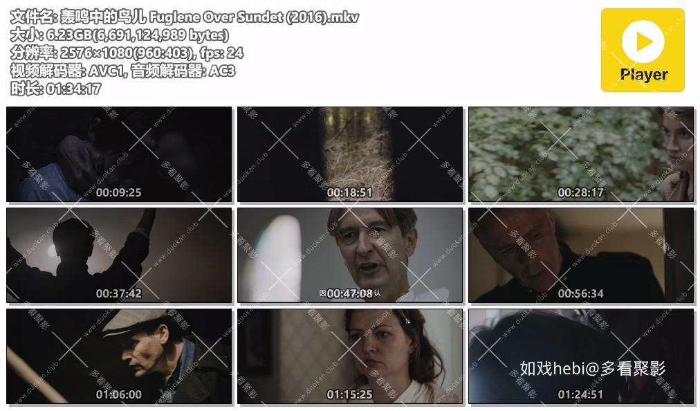 轰鸣中的鸟儿 Fuglene Over Sundet (2016).mkv.jpg