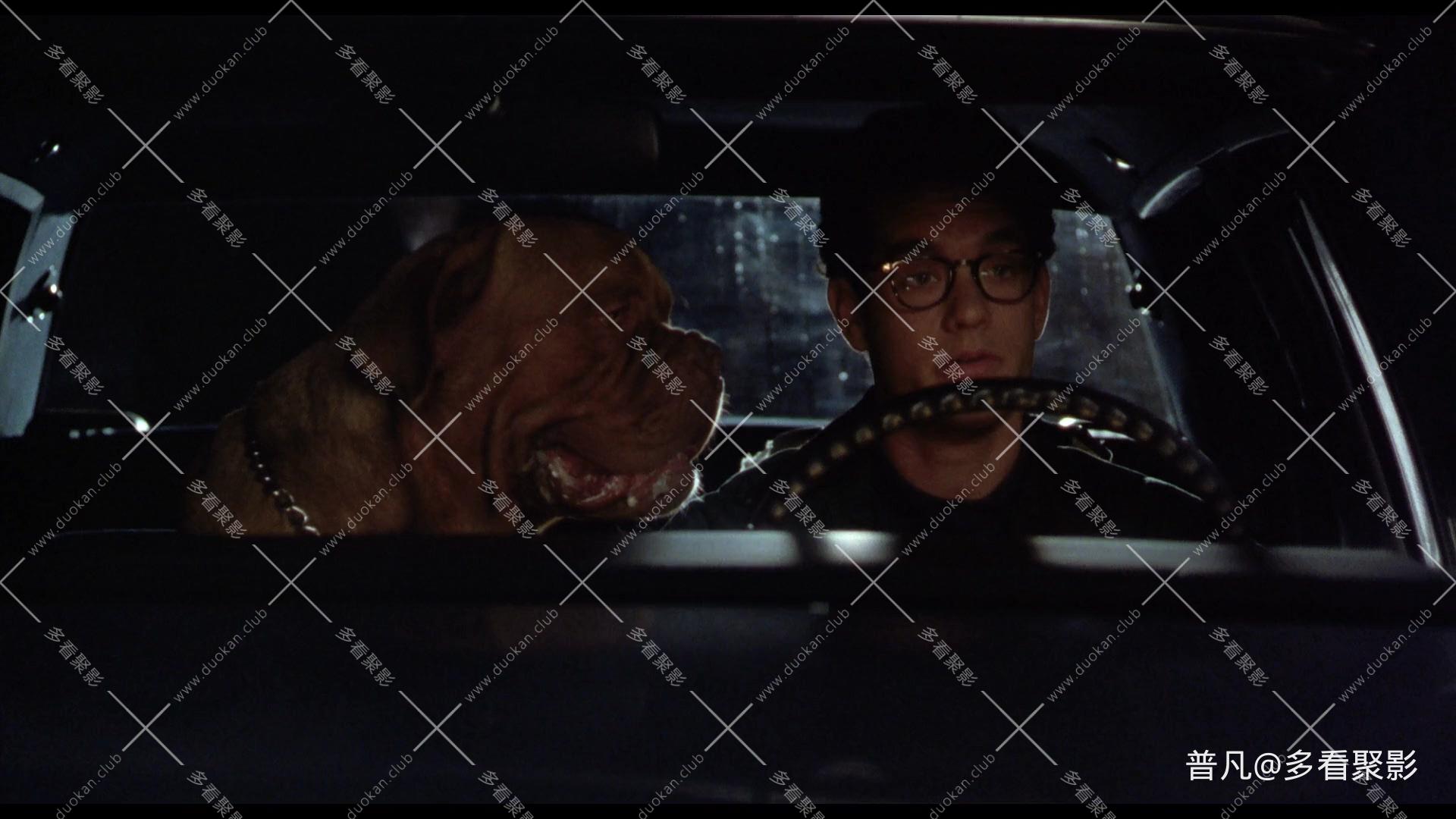 福星与福将.Turner And Hooch 1989.Audio.CN.mkv_20260419_223424.687.jpg