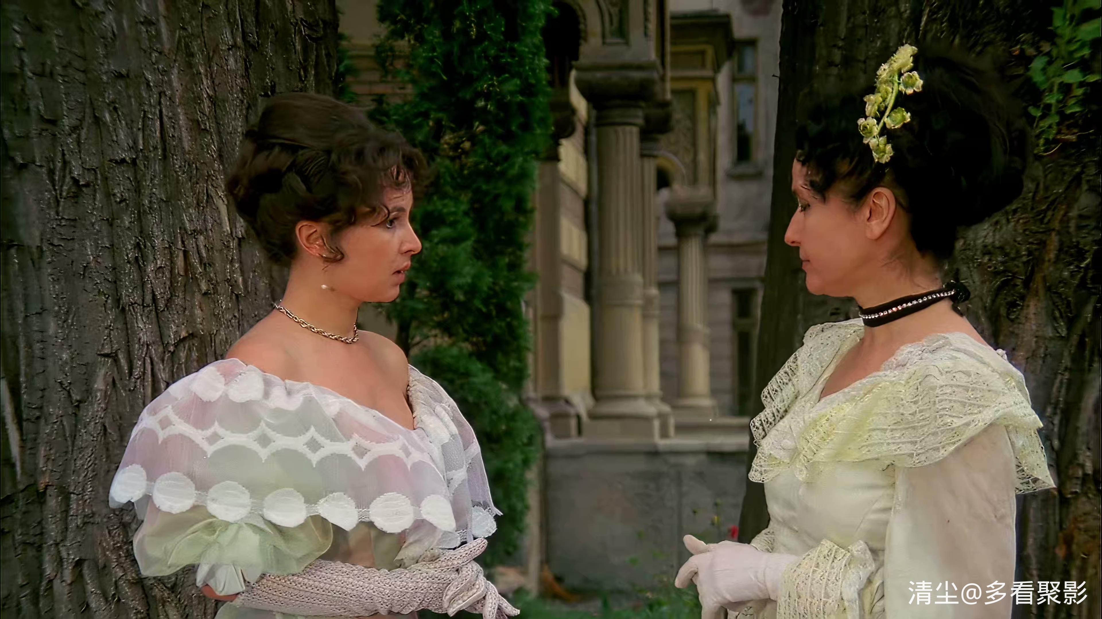 1982 黄玫瑰 Trandafirul galben.mp4_20260419_160121.485.jpg