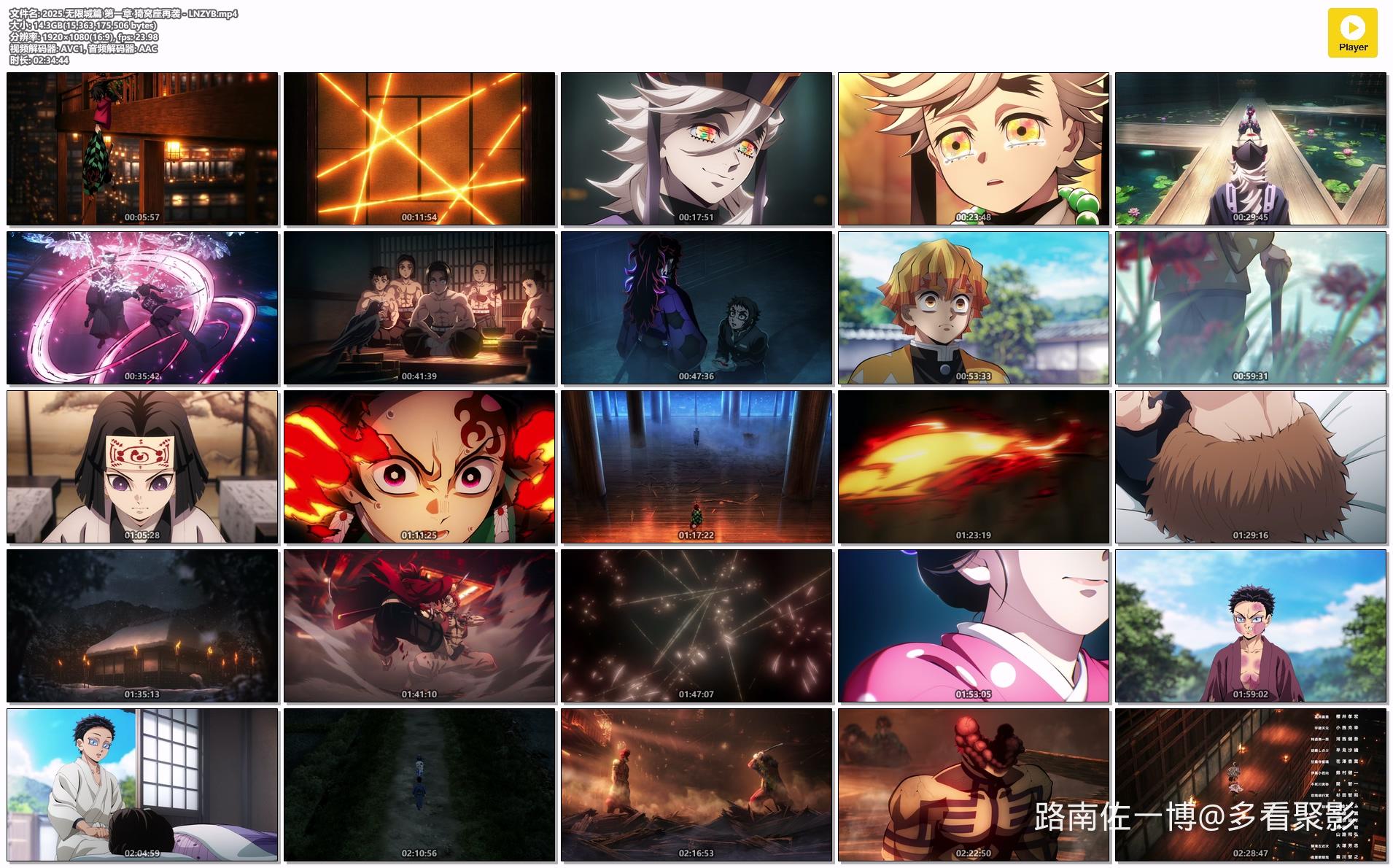 2025.无限城篇 第一章 猗窝座再袭 - LNZYB.mp4.jpg
