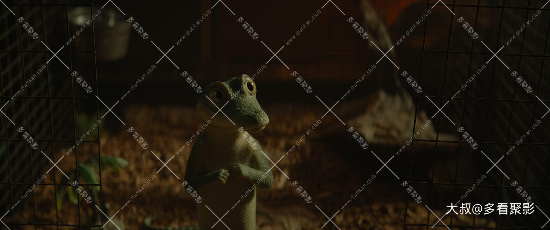 鳄鱼莱莱.Lyle,.Lyle,.Crocodile.2022.UHD.Bluray.2160p.HEVC.DV.HDR.4Audio.mkv_2026.jpg